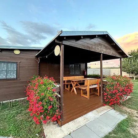 1 Apartment